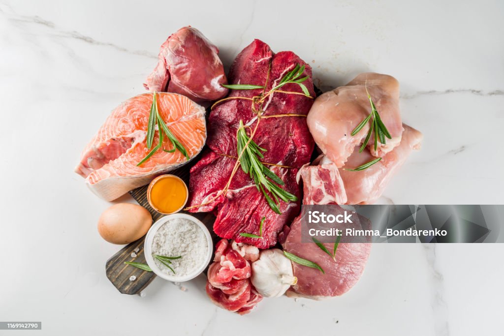 Carnivore
